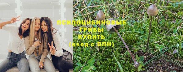 apvp Арсеньев