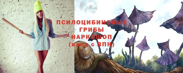 apvp Арсеньев