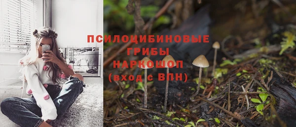 jwh Аркадак