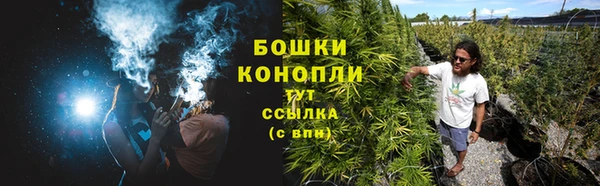 apvp Арсеньев