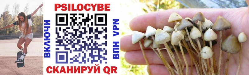 Галлюциногенные грибы Psilocybe  Суджа 