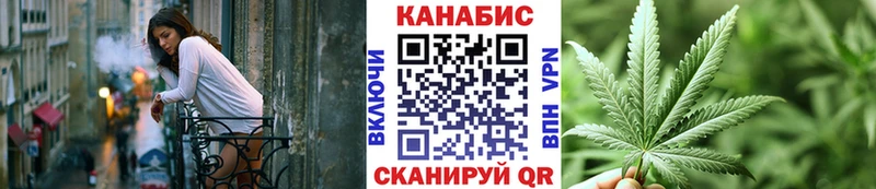 мориарти клад  купить   Суджа  Каннабис планчик 